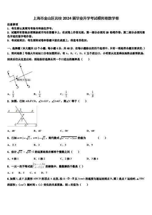 上海市金山区名校2024届毕业升学考试模拟卷数学卷含解析