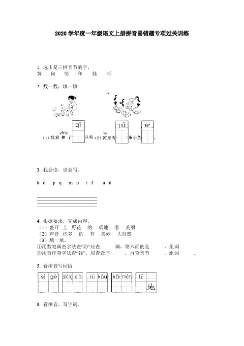 2020学年度一年级语文上册拼音易错题专项过关训练