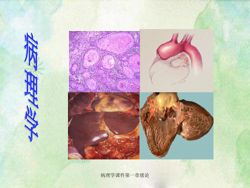 病理学课件第一章绪论