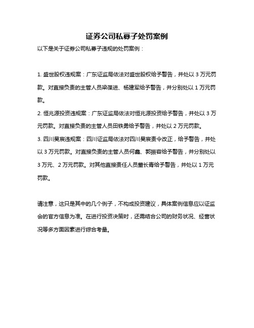 证券公司私募子处罚案例