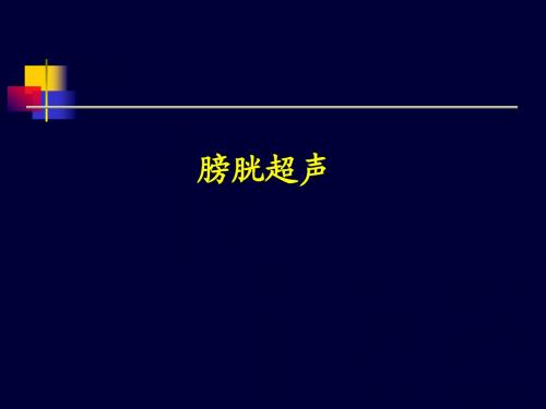 12章3膀胱超声课件