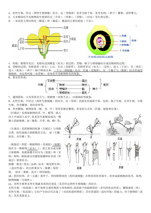 生物的繁殖知识点