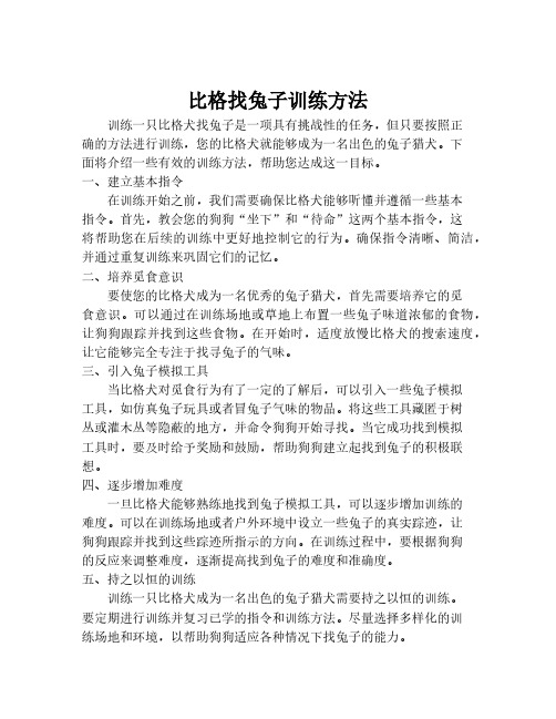 比格找兔子训练方法