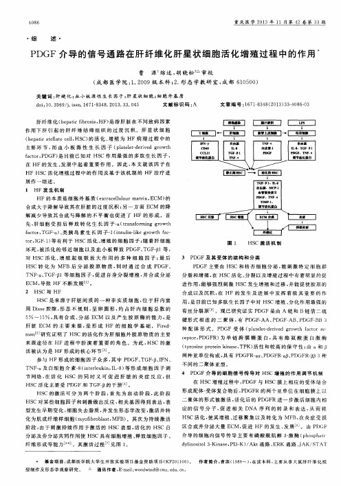 PDGF介导的信号通路在肝纤维化肝星状细胞活化增殖过程中的作用