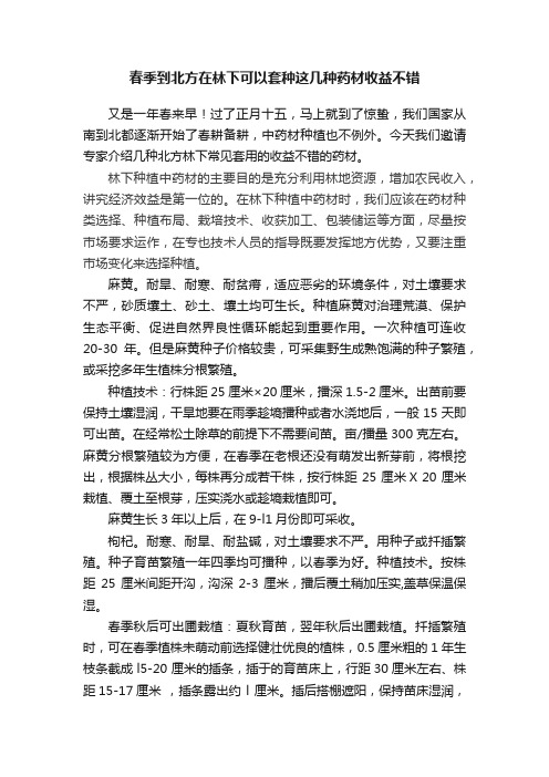 春季到北方在林下可以套种这几种药材收益不错