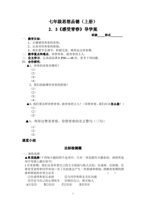 2.3,《感受青春》导学案