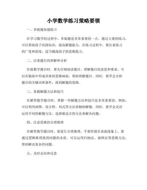 小学数学练习策略要领