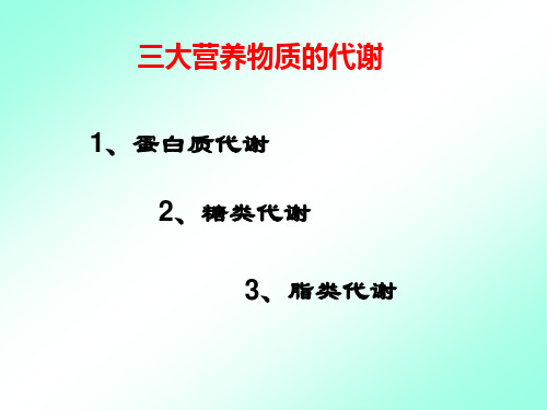 三大营养物质的代谢概况