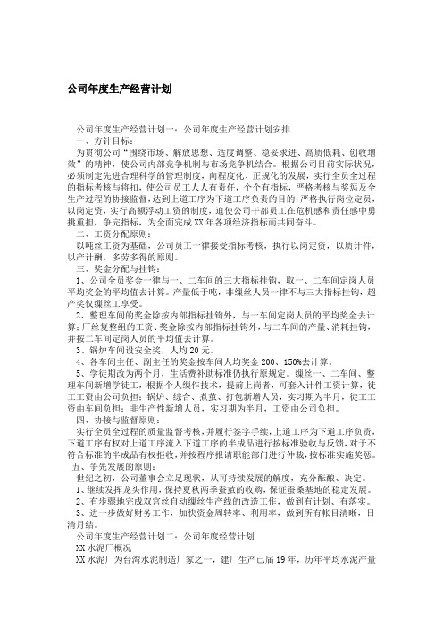 公司年度生产经营计划