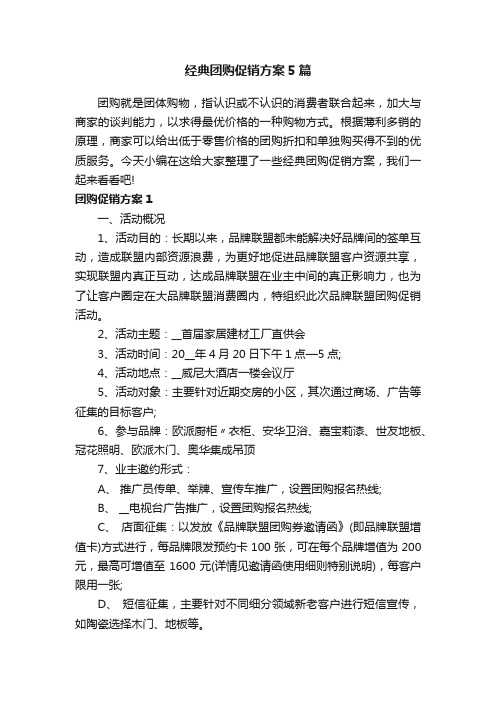 经典团购促销方案5篇