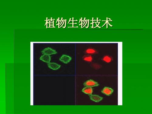 植物生物技术