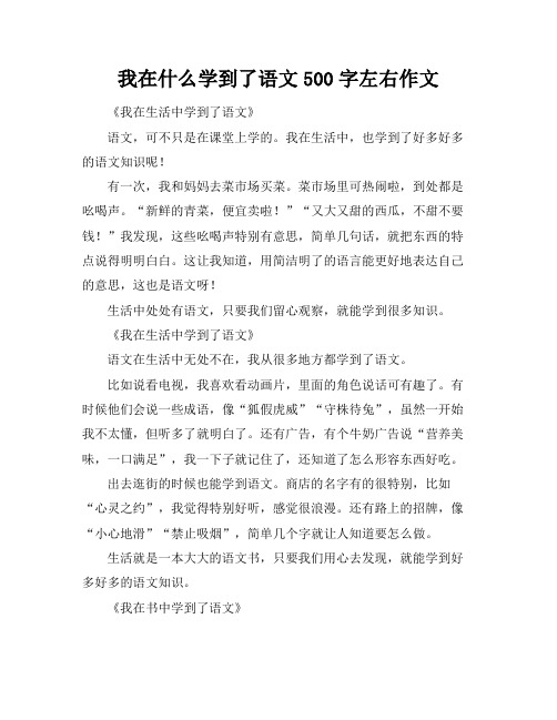 我在什么学到了语文500字左右作文