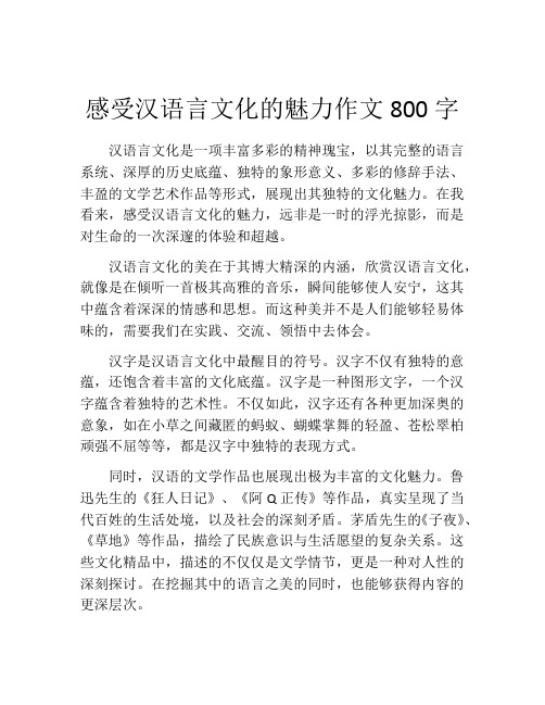 感受汉语言文化的魅力作文800字