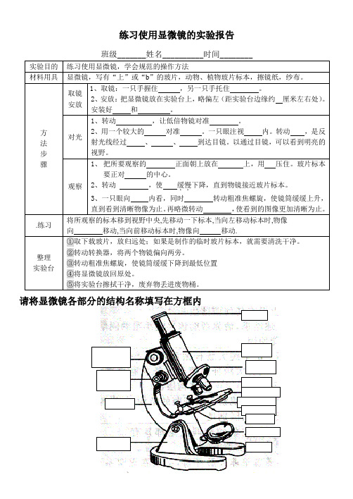 练习使用显微镜的实验报告