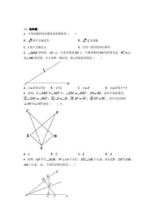 山东省济南第一中学八年级数学上册第十二章【全等三角形】经典题(答案解析)