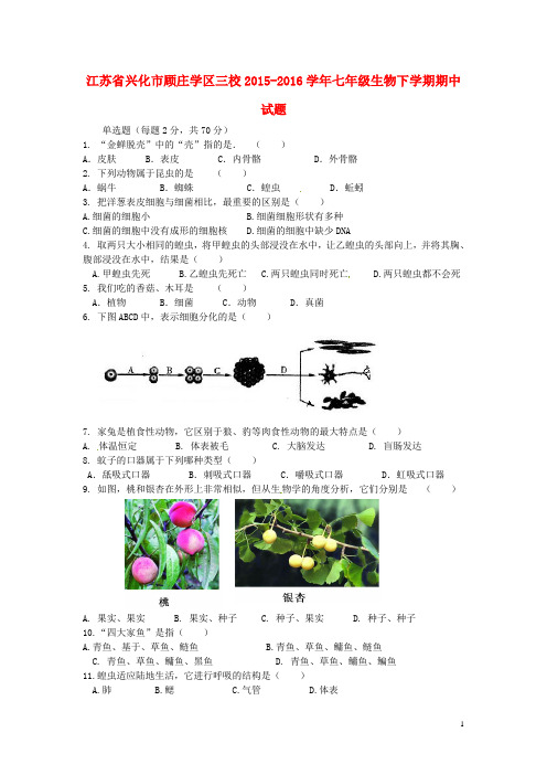 江苏省兴化市顾庄学区三校七年级生物下学期期中试题 