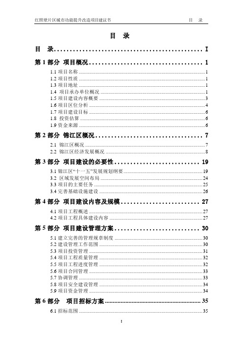 成都市红照壁片区城市功能提升改造项目建议书