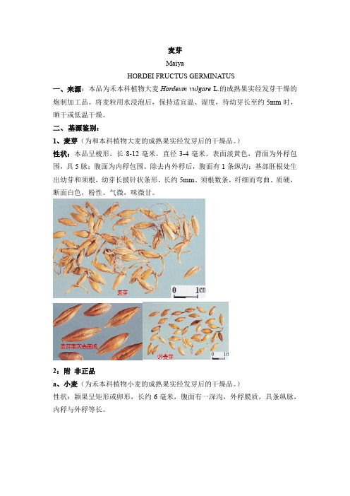 麦芽基源鉴别及鉴别炮制