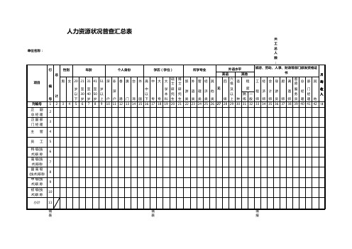 公司职工普查汇总表