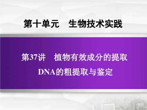 高考生物专题植物有效成分的提取 DNA的粗提取与鉴定 知识梳理、考情分析、考点突破(32张)