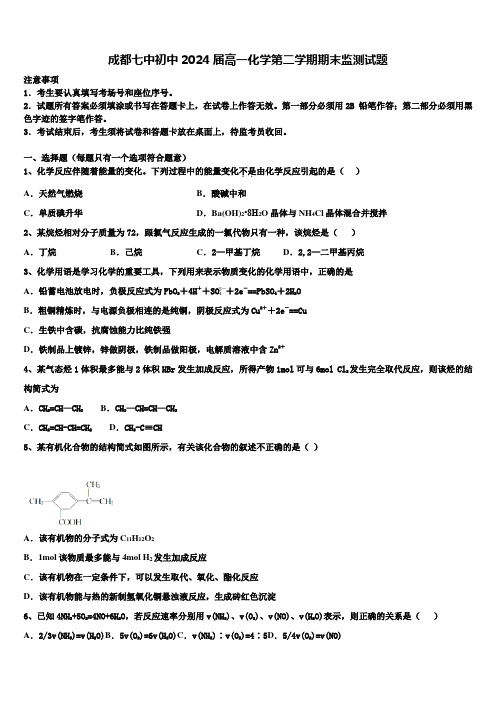 成都七中初中2024届高一化学第二学期期末监测试题含解析