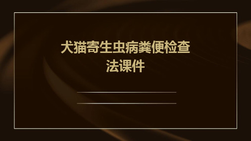 犬猫寄生虫病粪便检查法课件