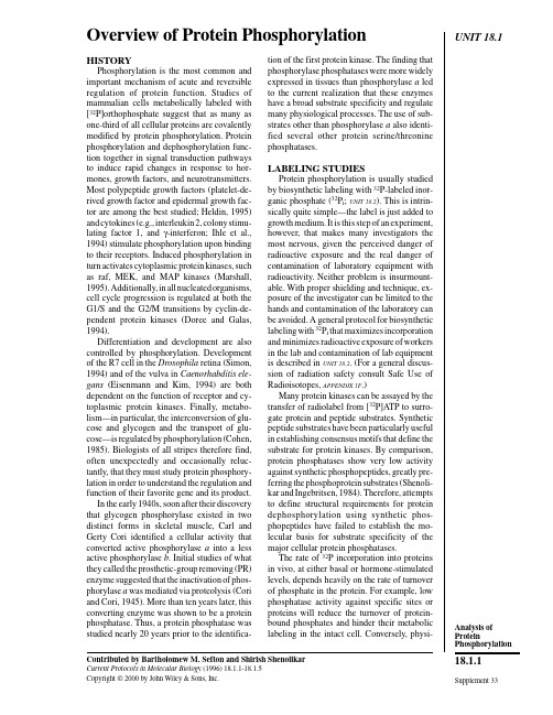 Overview of Protein Phosphorylation 蛋白磷酸化