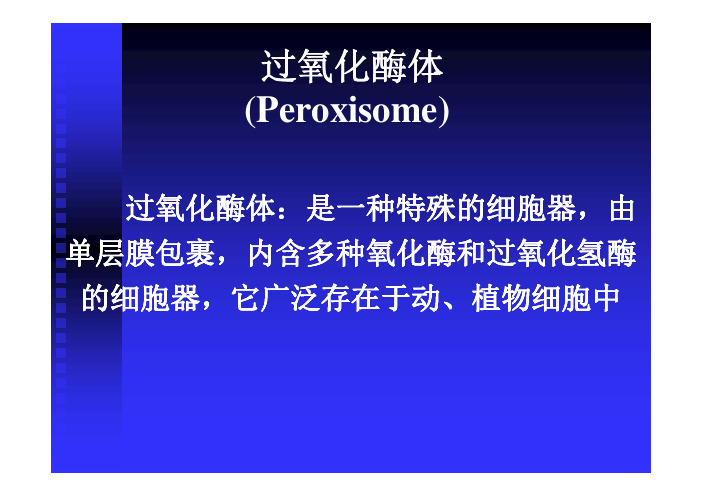 过氧化酶体Peroxisome