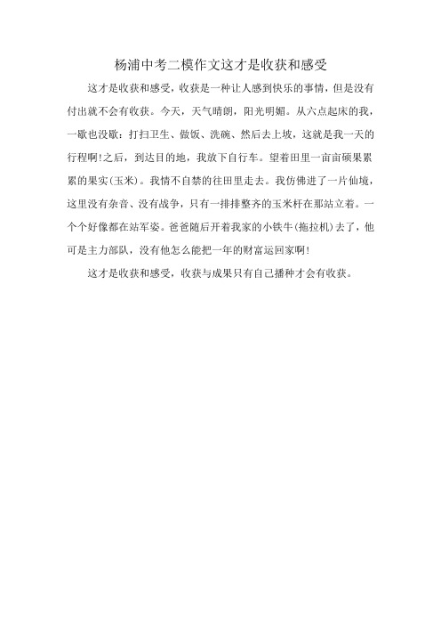 杨浦中考二模作文这才是收获和感受