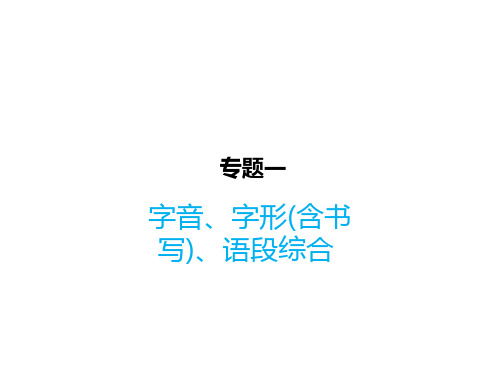 专题一 字音、字形(含书写)、语段综合