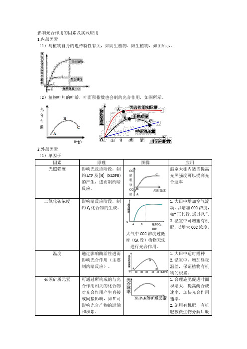 影响光合作用的因素及实践应用