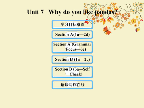 【优质课PPT】最新版六年级英语下册 Unit 7 Why do you like pandas课件 鲁教版五四制