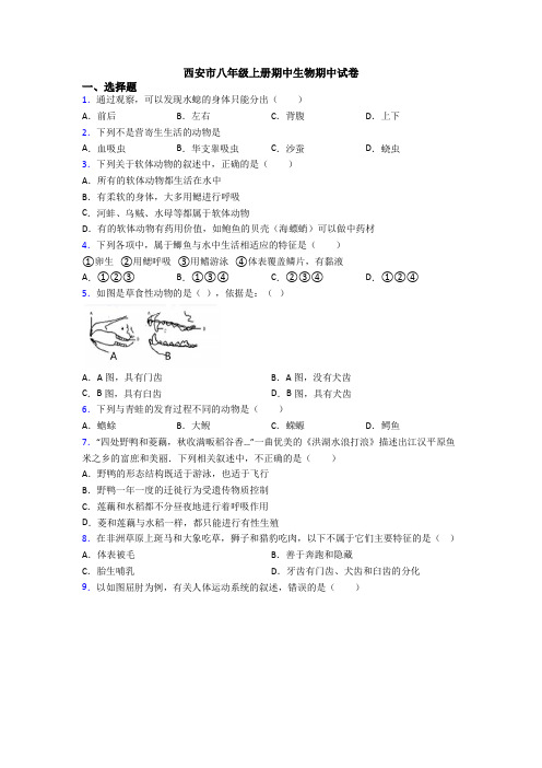 西安市八年级上册期中生物期中试卷