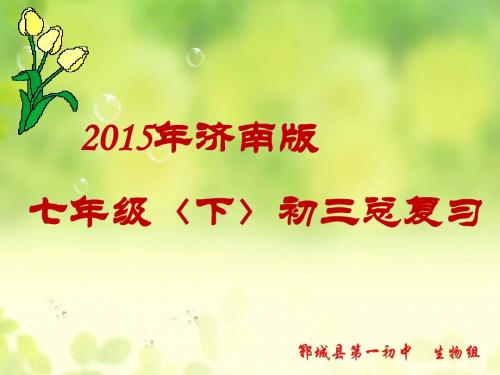 济南版七下第三单元第一章人的生活需要营养复习课件(共44张PPT)