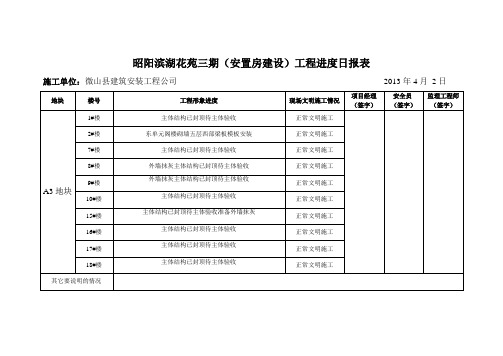 昭阳滨湖花苑三期(安置房建设)工程进度日报表 (2)