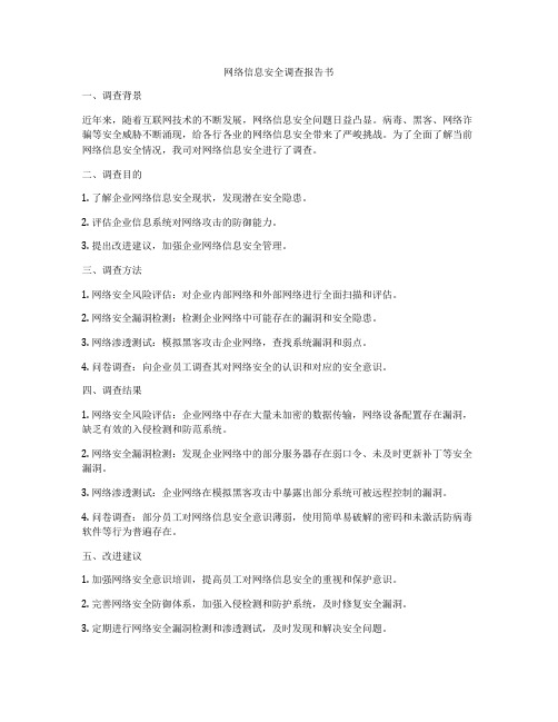 网络信息安全调查报告书