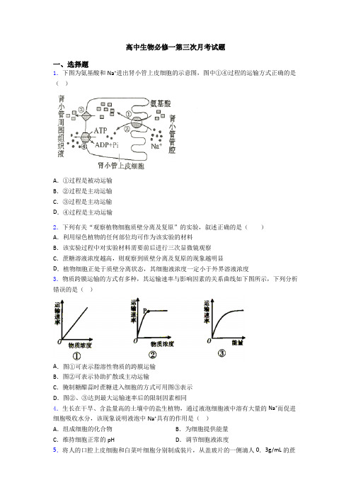 高中生物必修一第三次月考试题