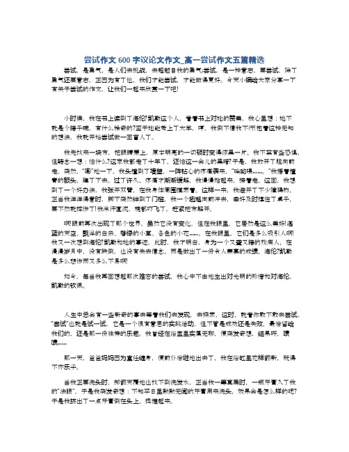 尝试作文600字议论文作文_高一尝试作文五篇精选