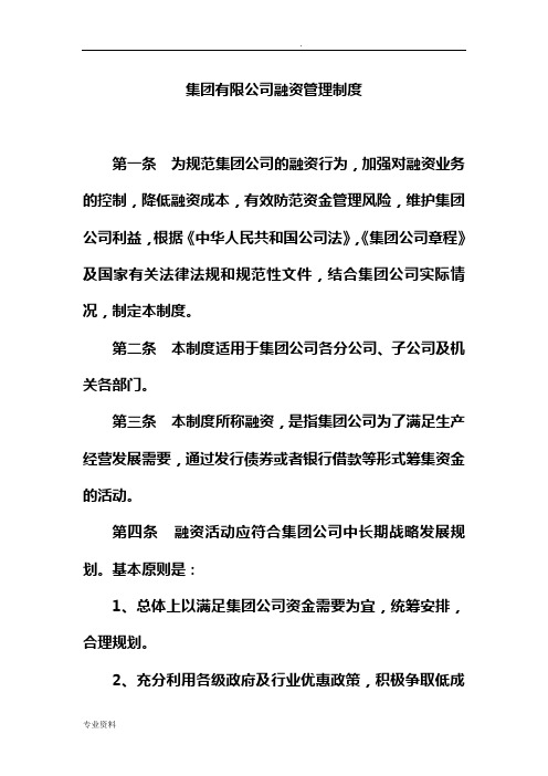 集团有限公司融资管理制度