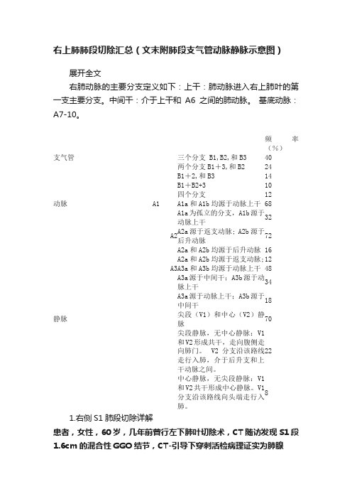 右上肺肺段切除汇总（文末附肺段支气管动脉静脉示意图）