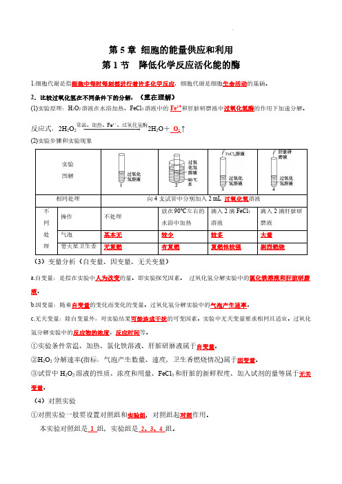 第5章 细胞的能量供应和利用(答案版)-备战2024年高考生物必背知识清单