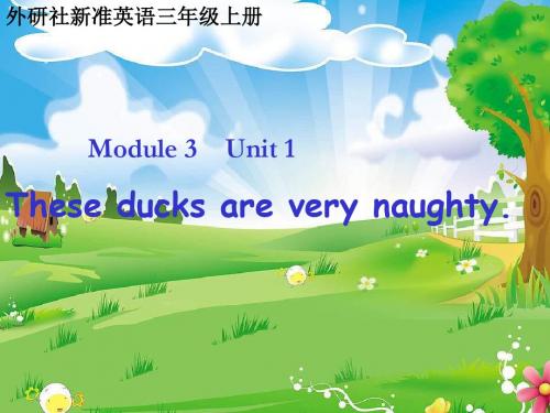 外研版(一年级起点)三年级英语上册Module 3  Unit 1 These ducks are very naughty公开课优质课件