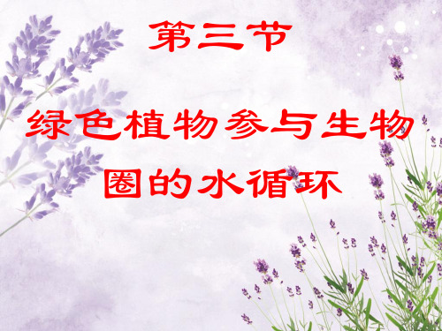 绿色植物与生物圈的水循环PPT教学课件