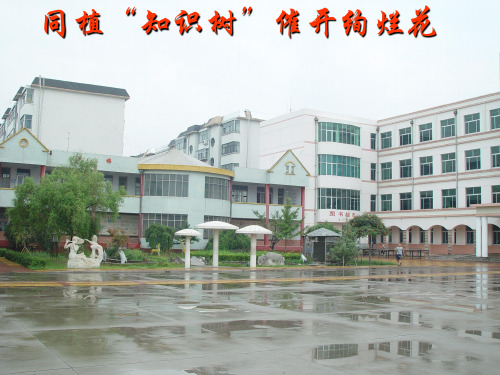 知识树说课