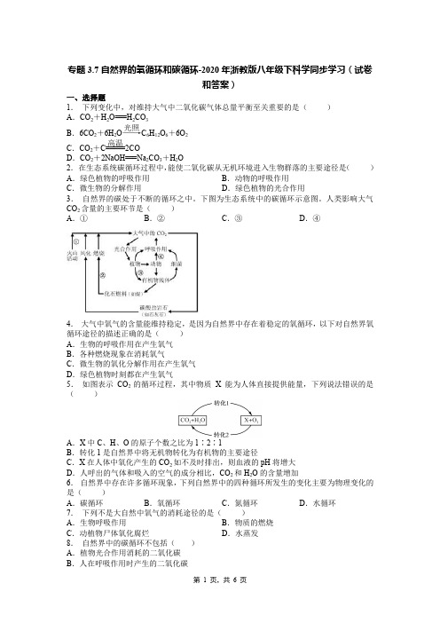 专题3.7自然界的氧循环和碳循环-2020年浙教版八年级下科学同步学习(试卷和答案)