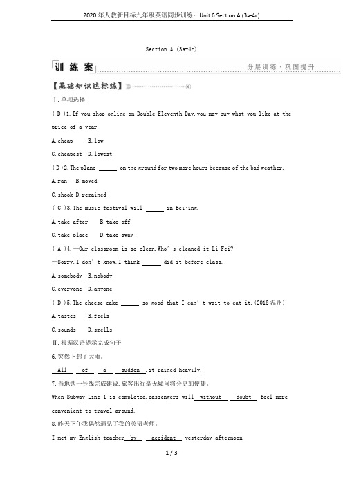 2020年人教新目标九年级英语同步训练：Unit 6 Section A (3a-4c)