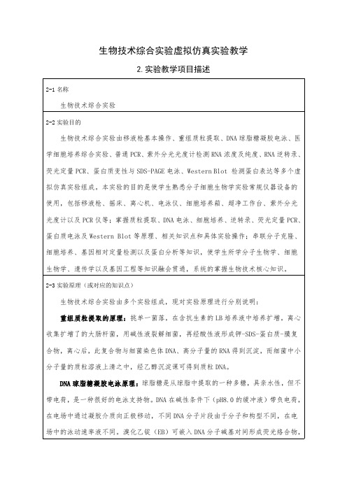 生物技术综合试验虚拟仿真试验教学-桂林医学院生物技术学院医药