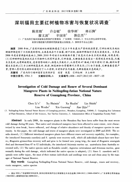 深圳福田主要红树植物冻害与恢复状况调查