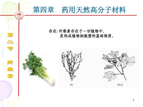 药用高分子课件第四章2