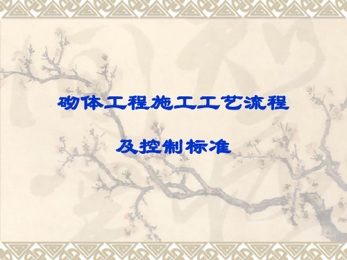 砌体工程施工工艺流程及控制标准教材